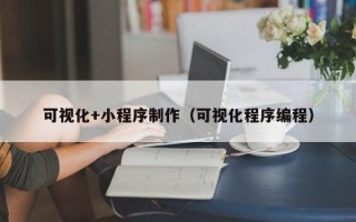 三门峡可视化+小程序制作（可视化程序编程）